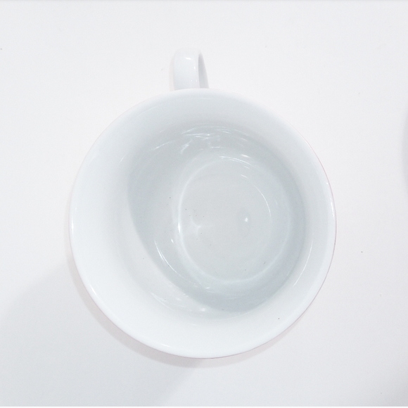 NEW Festive Birds Breakfast Cup & Saucer Set - Picture 10 of 11